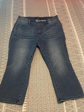 Judy Blue Skinny Fit Capri Stretch Jeans - 16 W
